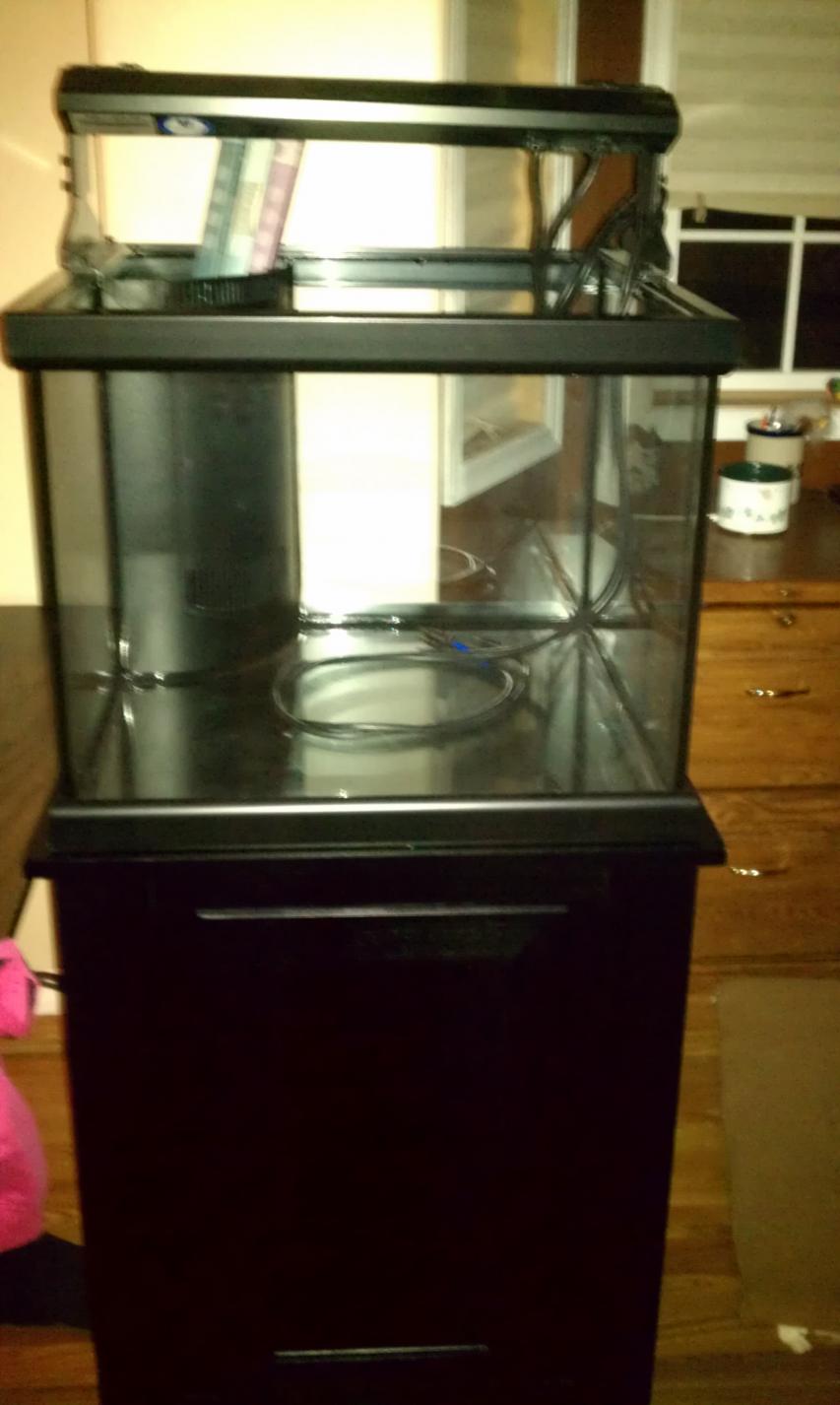 45g cube.jpg