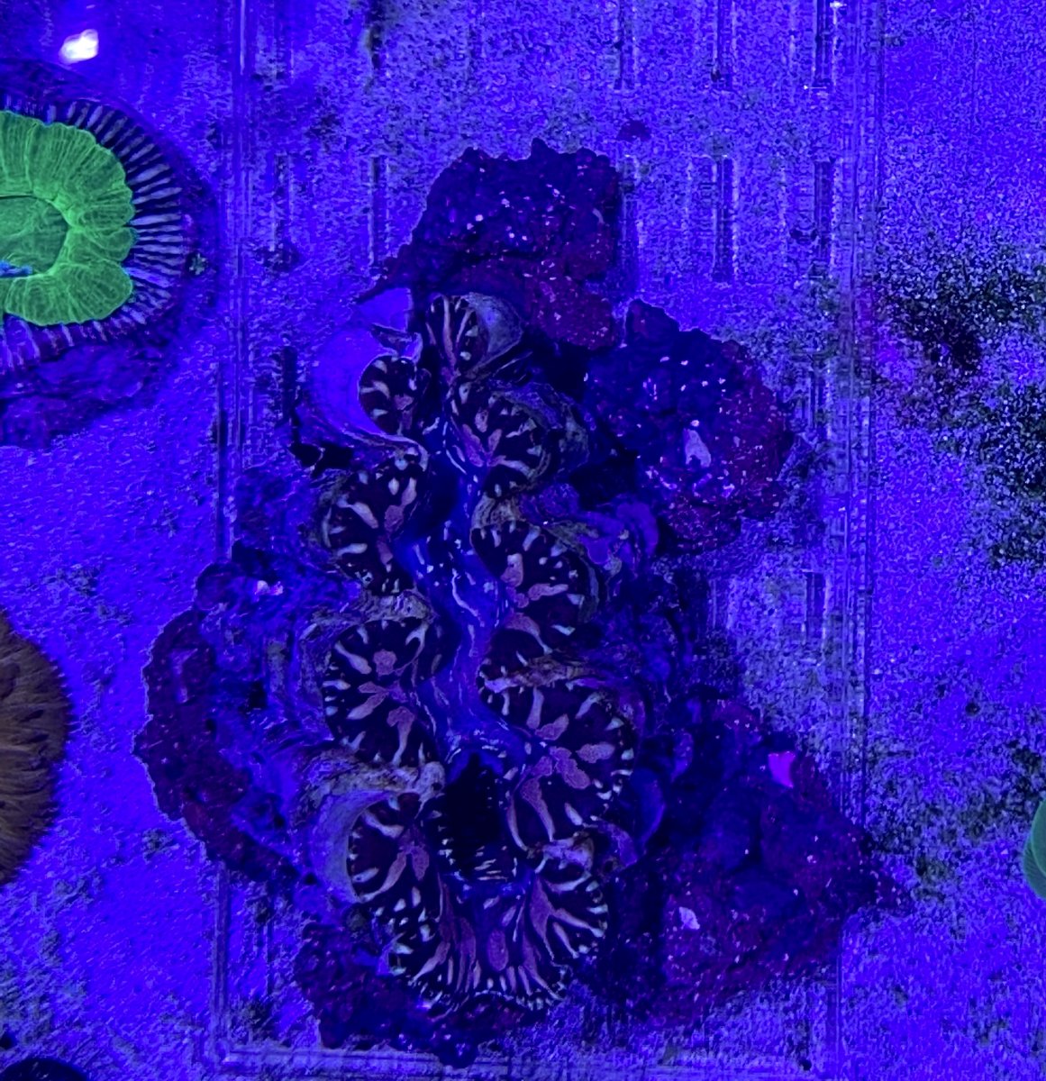 461B0FBC-CD68-486A-9B39-B3C3D3E348D7.jpeg