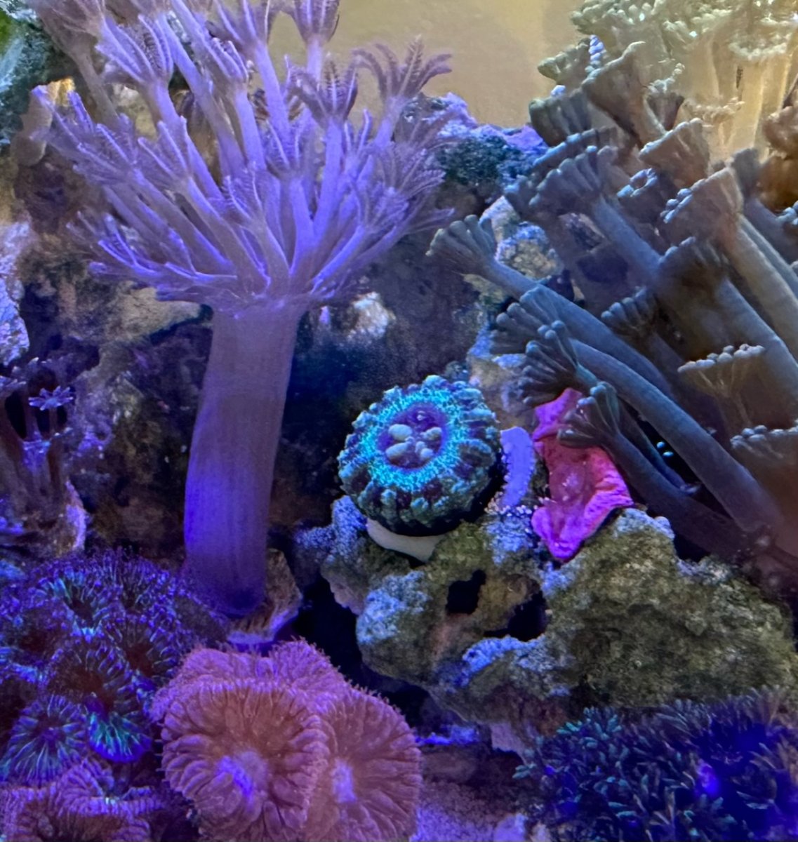 4640D4AB-DAA0-45E2-B22D-5F454BDBB411.jpeg