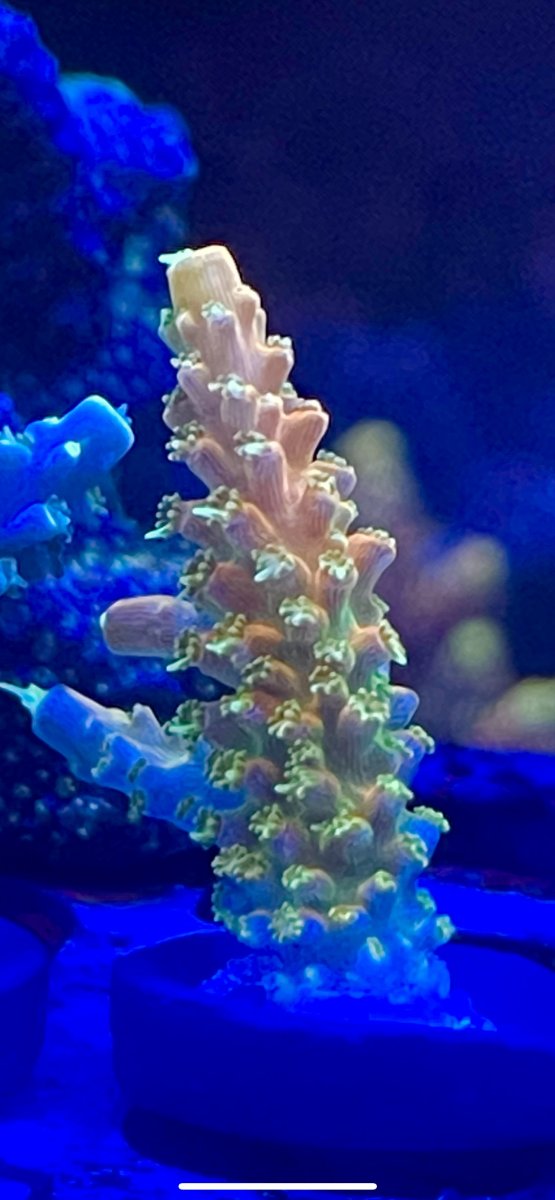 475C92E2-E0E0-4F6E-8DC3-421A77677501.jpeg