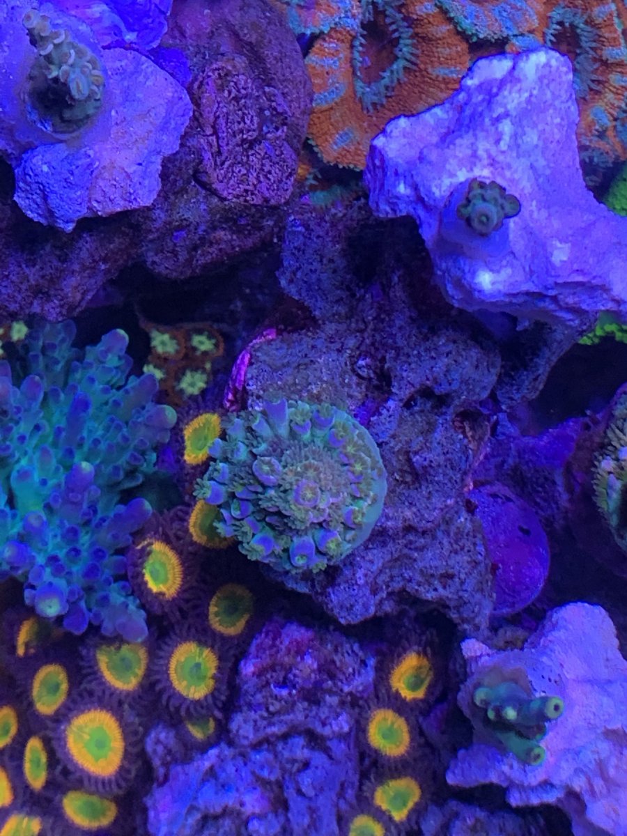 47A7B16C-9E83-4973-948D-19B2E982C3E5.jpeg