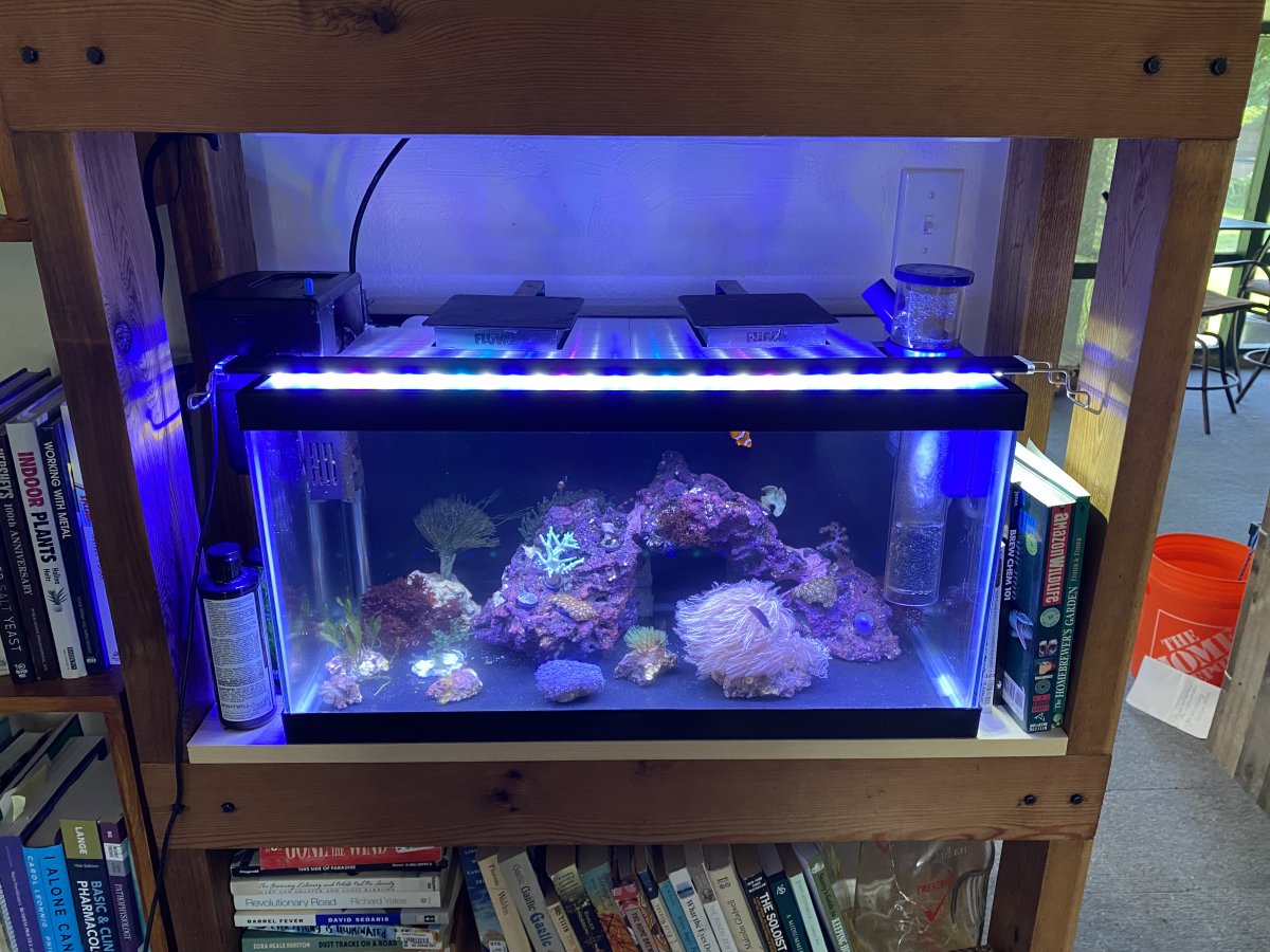 Making my own T5 hybrid “fixture” advertised ce on bulb or should I ...