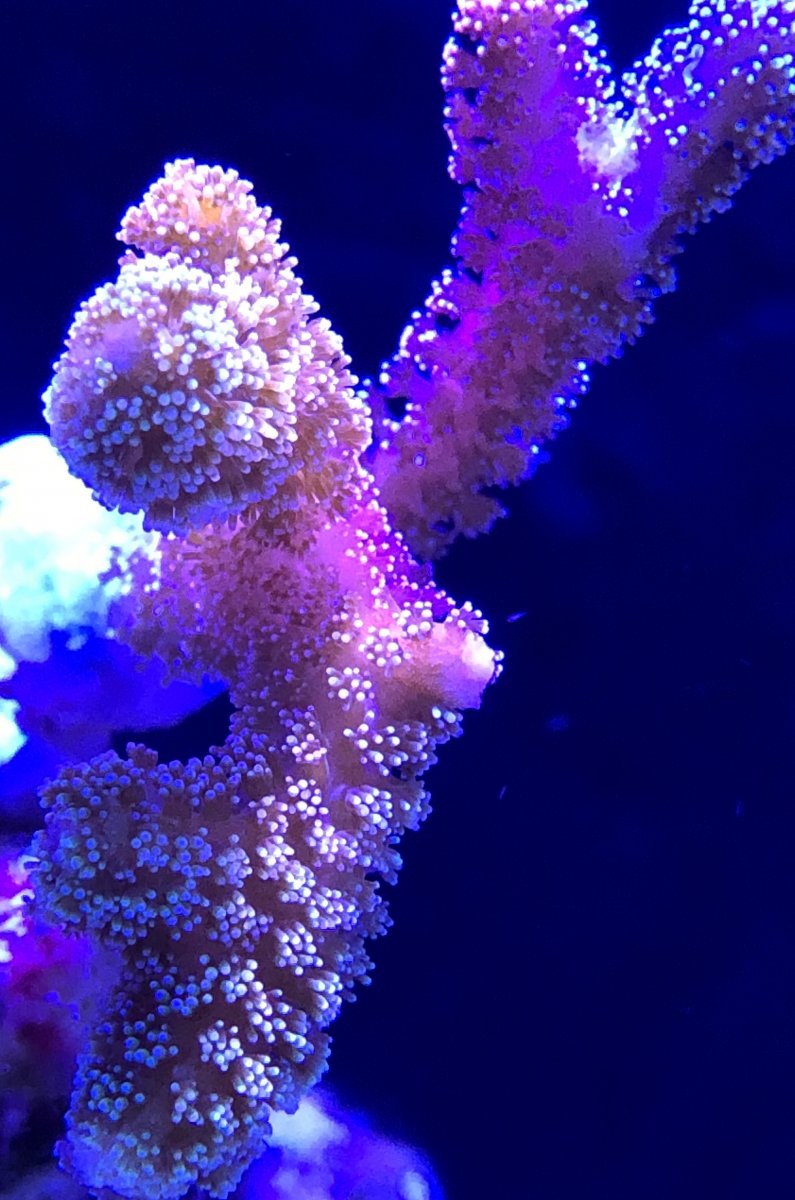 4959FCB9-E286-47AD-98A7-A3AC0B0D6EF1.jpeg