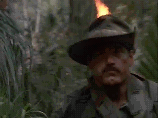 49vwC9Z.gif