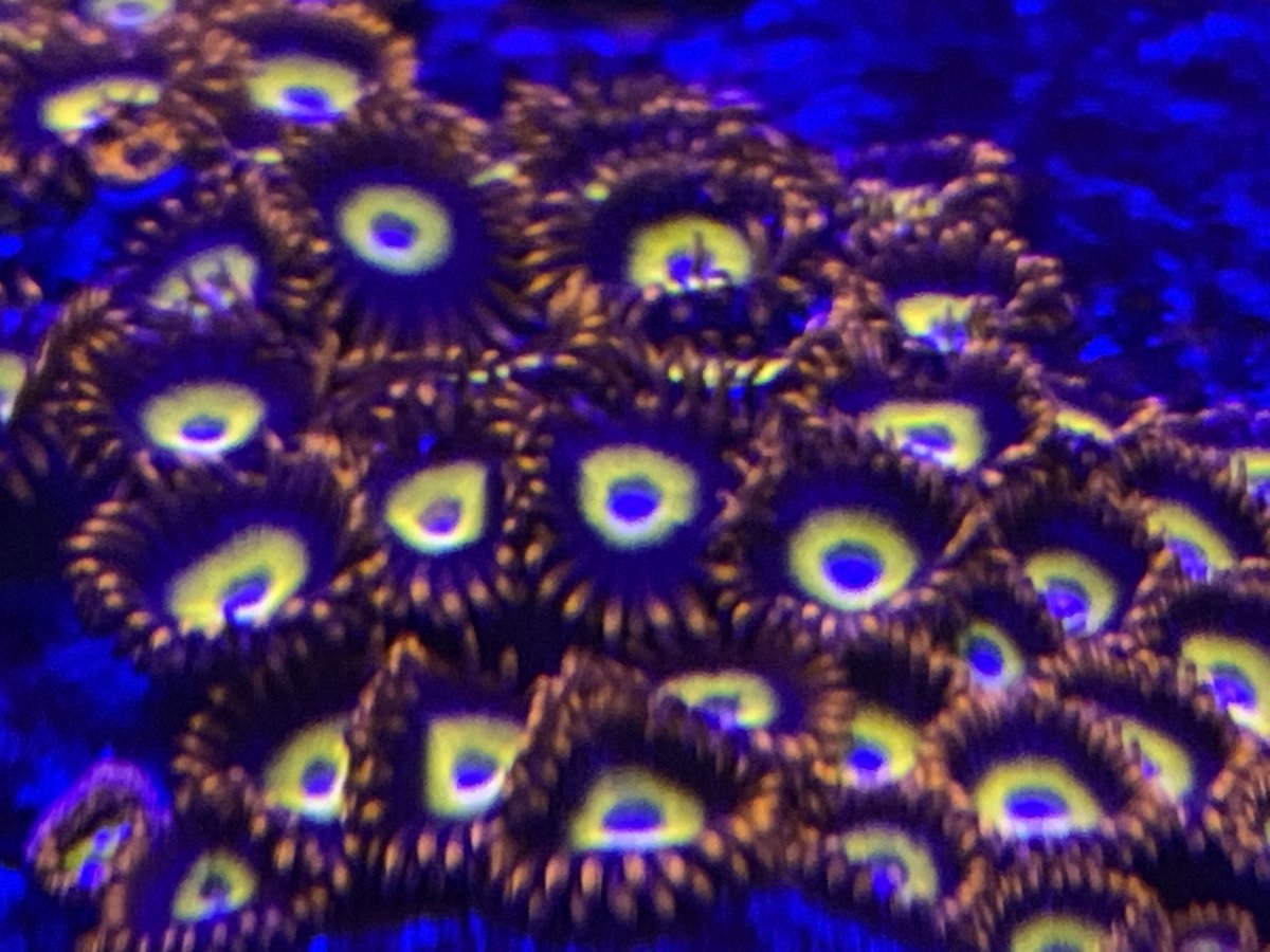 4A38297A-9ED5-48D5-BA0C-E64DDD2B2D67.jpeg