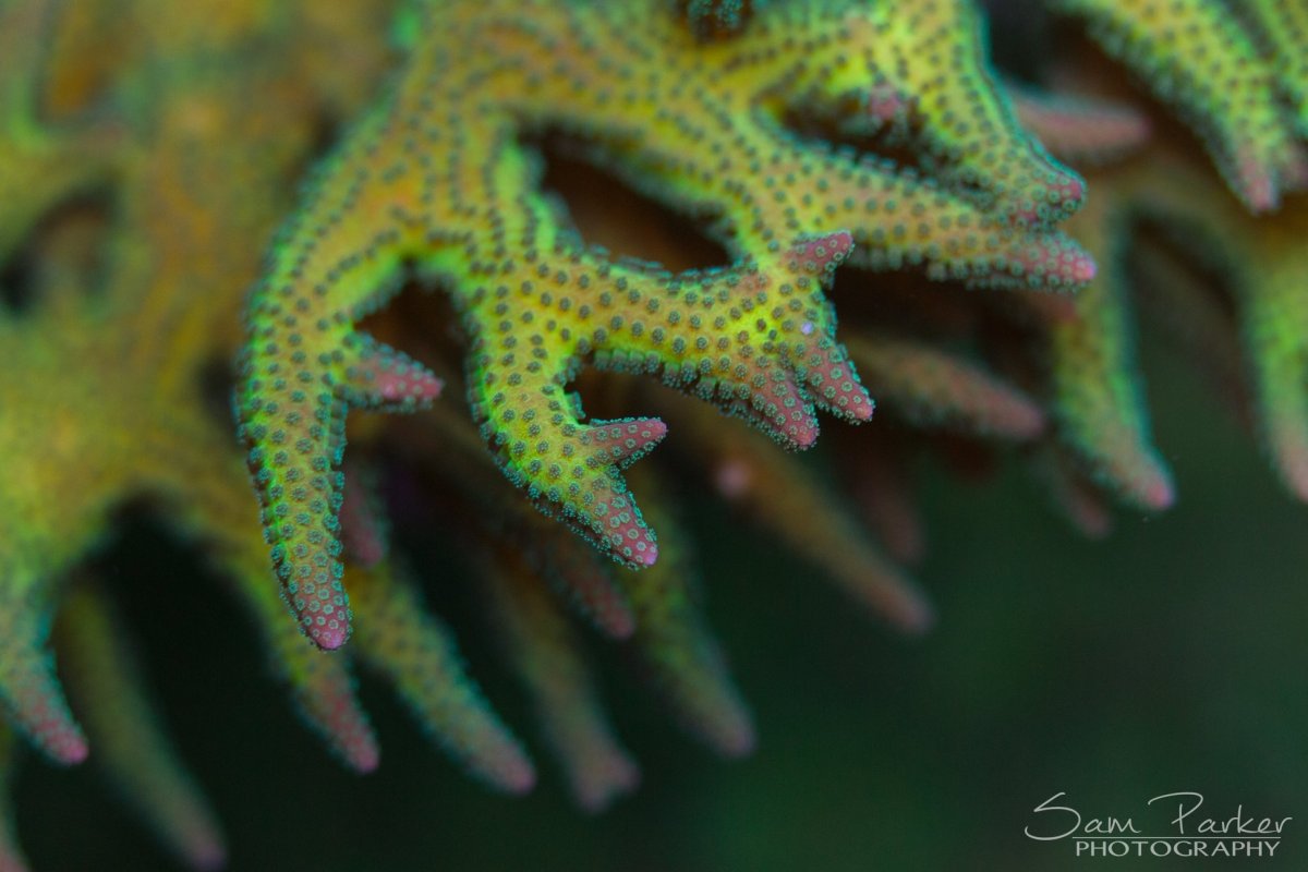 4B8DF926-43C5-43C8-AEE5-CF878F2EC6E9.jpeg