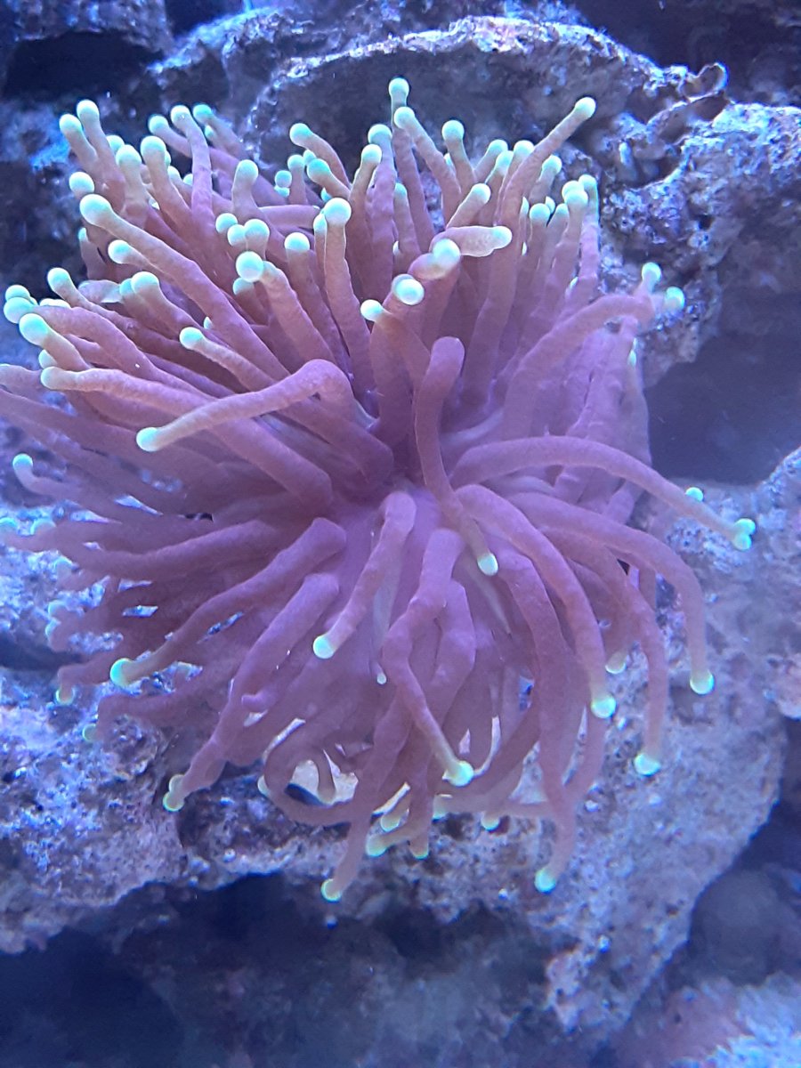 4D1920E8-D1F1-4C09-BA52-A737E648FC2A.jpeg