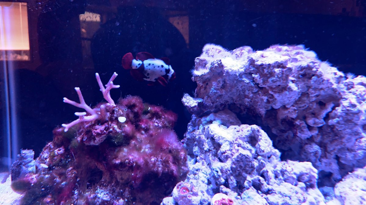 4DC8D2AF-5454-45CD-910D-D8AA875FD0F1.jpeg