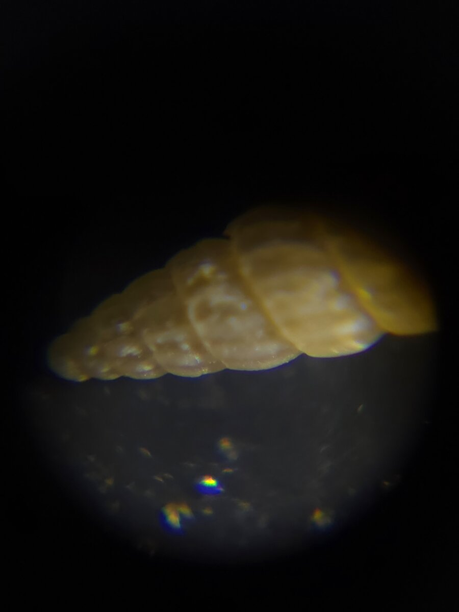 4df050f3-e725-4b5d-bd83-e429a425028c.jpg