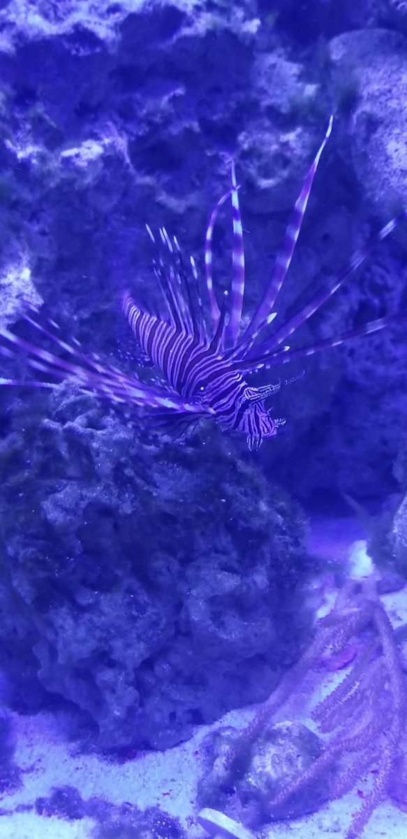 4E51CEEC-75C6-4D17-B3FC-1514DCDF2AD3.jpeg