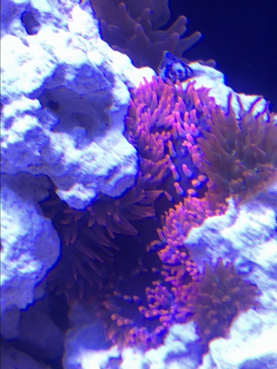 4EDA8A4F-E359-4736-ABA1-7F18FC14EB62.jpeg