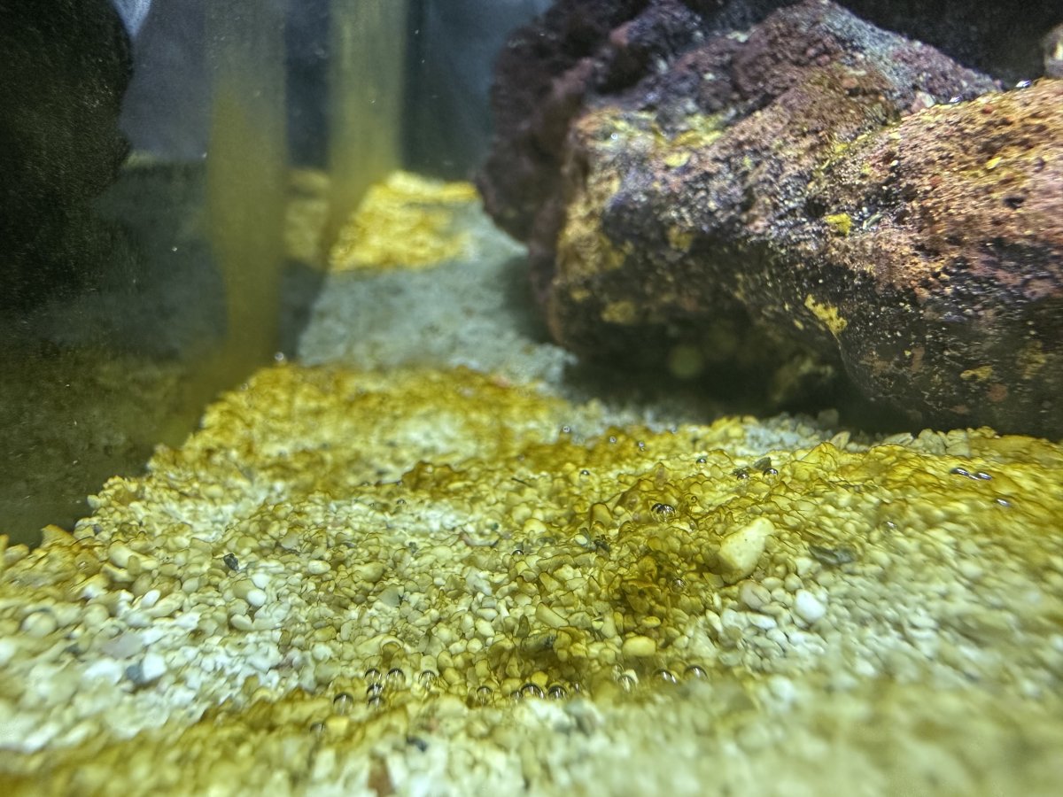 4F0676C2-71F3-4B5E-80E4-E3584118A283.jpeg