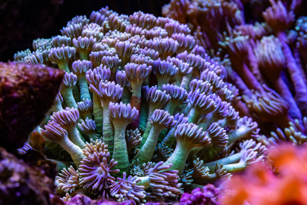 4J9A0090.jpg