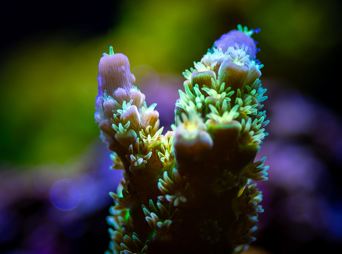 4J9A0174.jpg