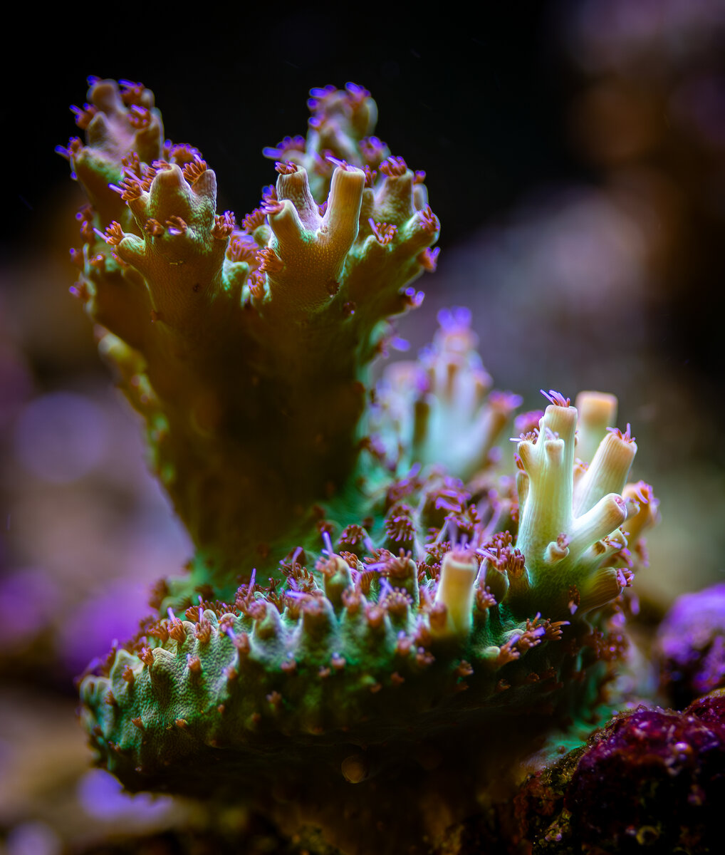4J9A0176.jpg