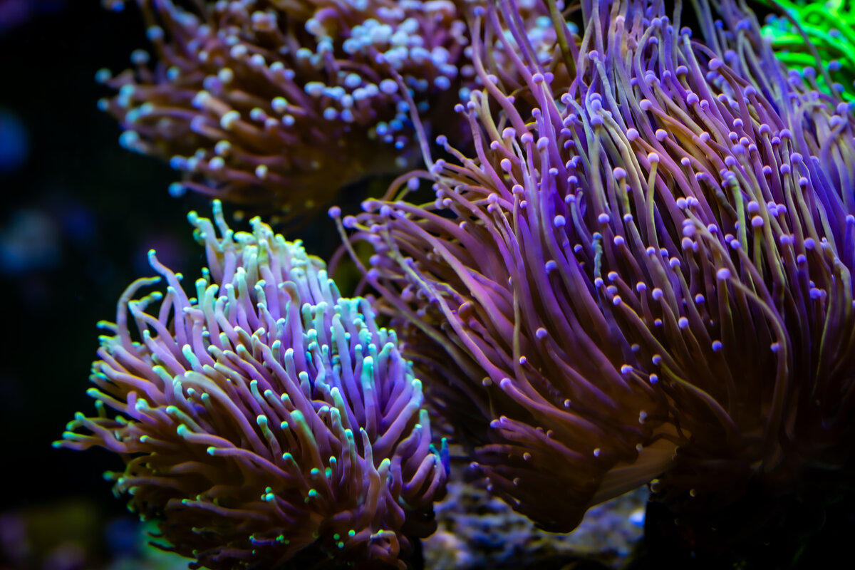 4J9A0184.jpg