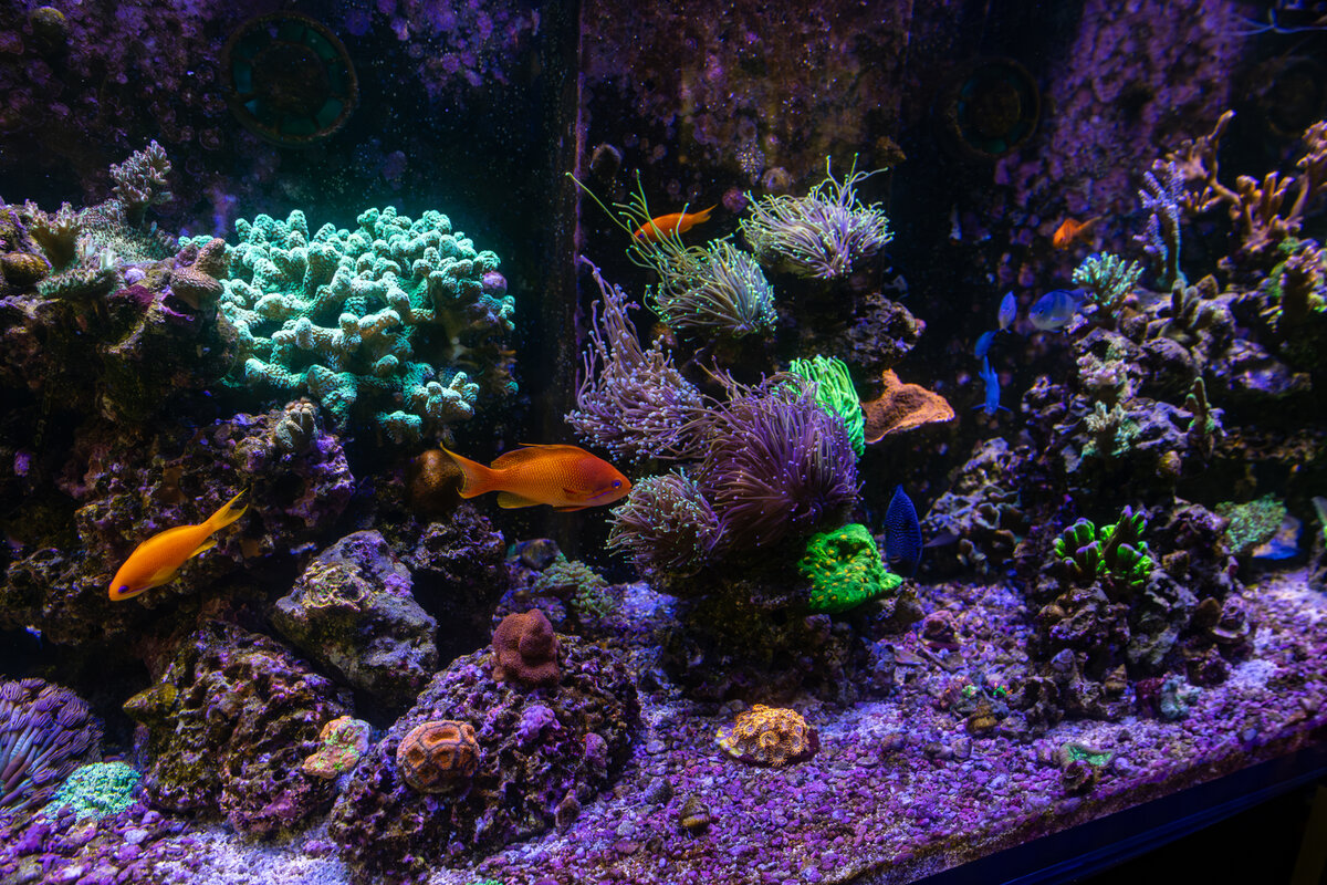4J9A0212.jpg