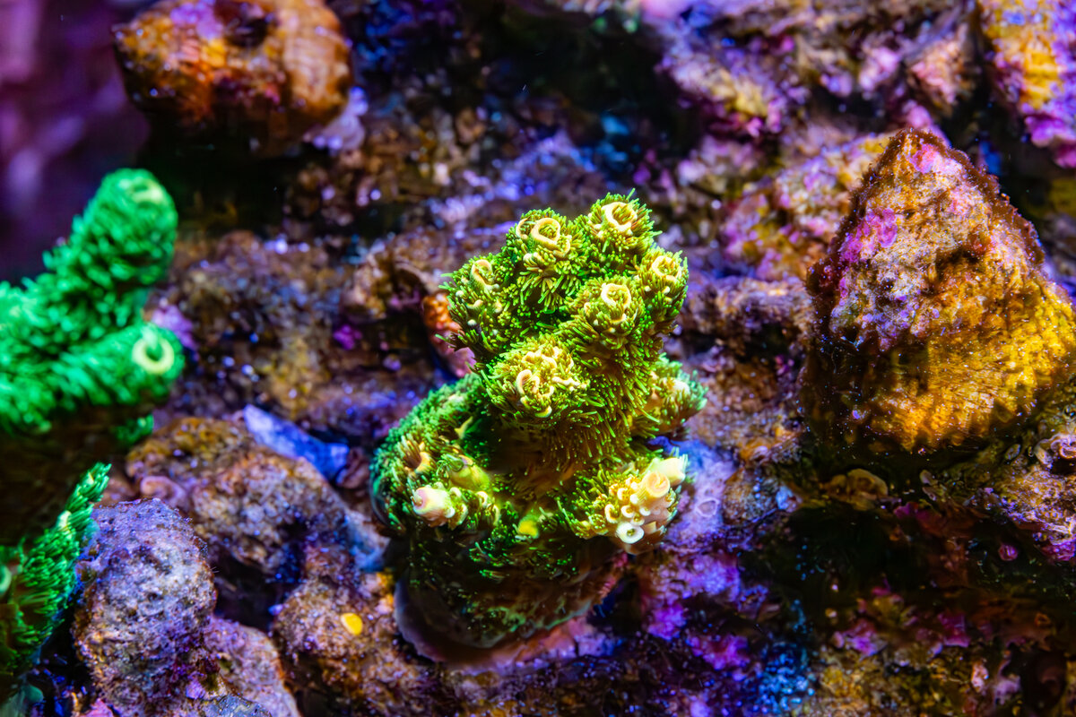 4J9A0942.jpg