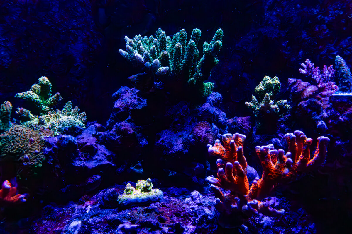 4J9A1157.jpg