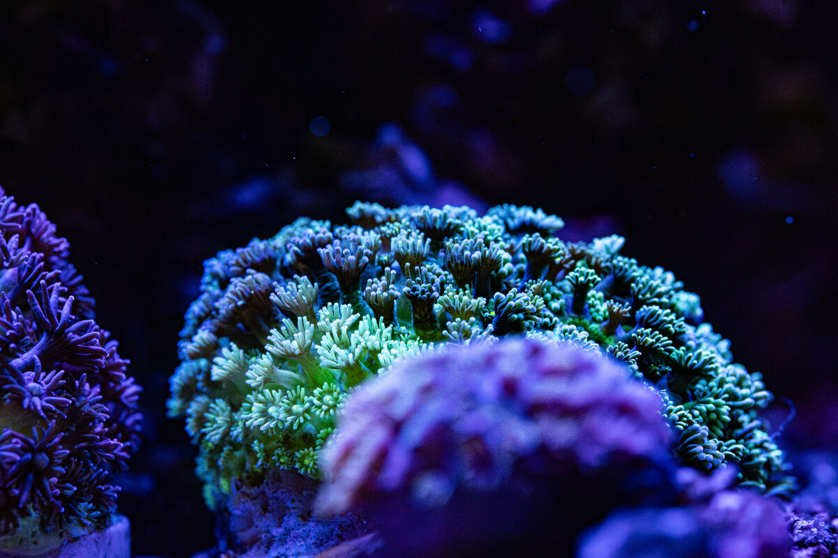 4J9A1334.jpg