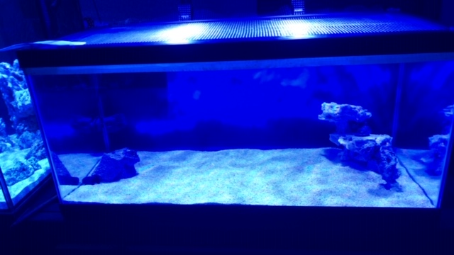 4ob rockscape.jpg