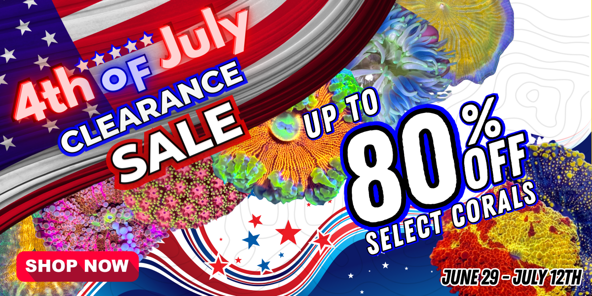 4th of July Sale R2R.png