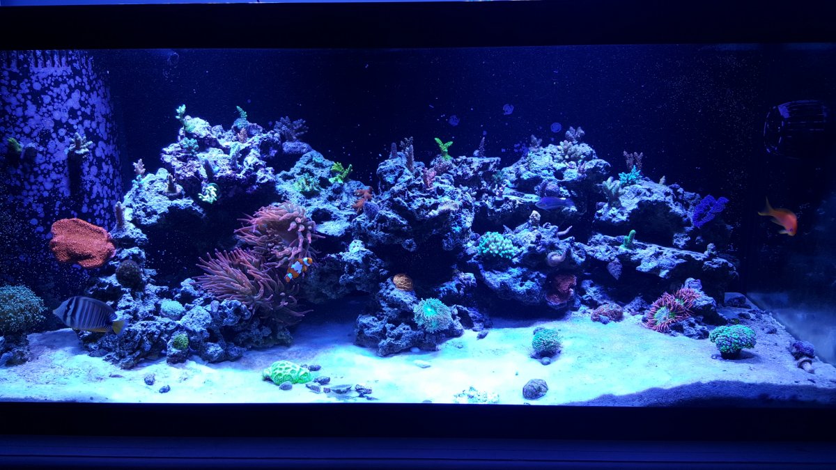 5-25-16.jpg