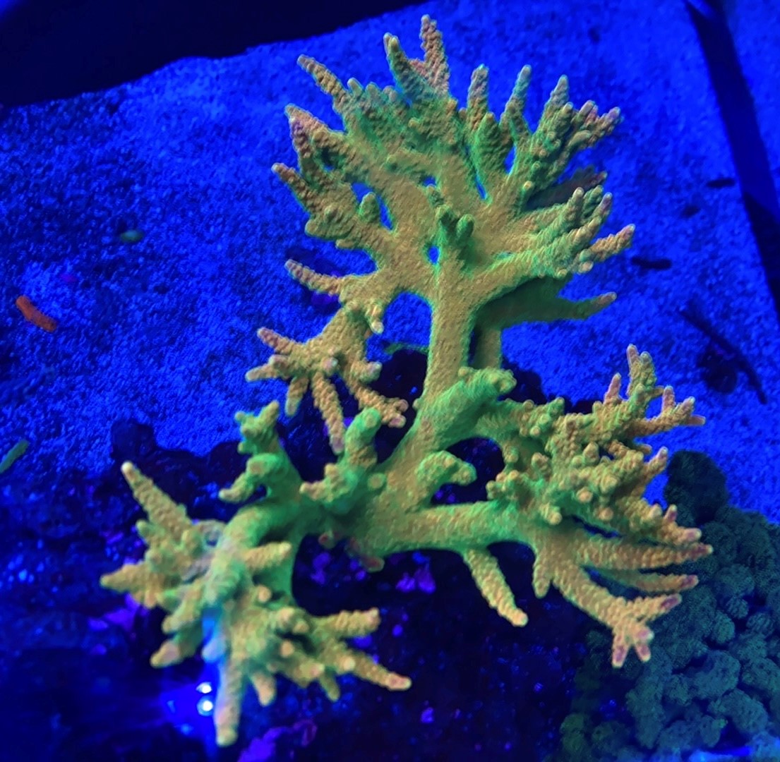 5-27 Pic 8.jpg