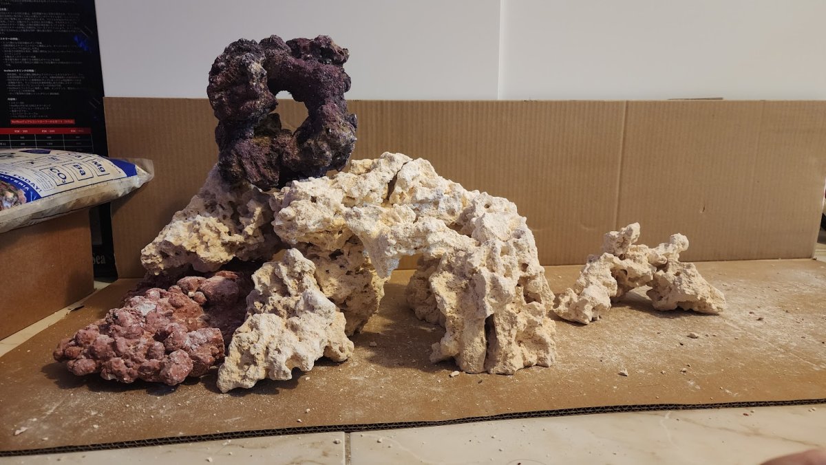 Several permutations at first rockscape | Reef2Reef