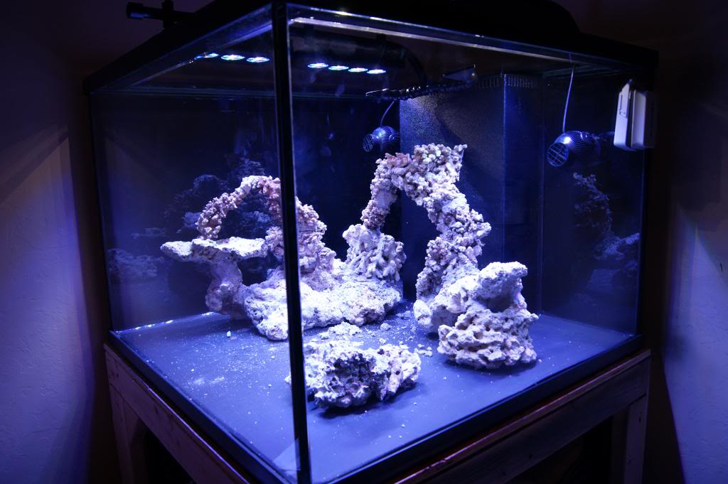 oplichter Punt Meenemen Cube Build - Show off those great CUBE TANK AQUASCAPES! | REEF2REEF  Saltwater and Reef Aquarium Forum