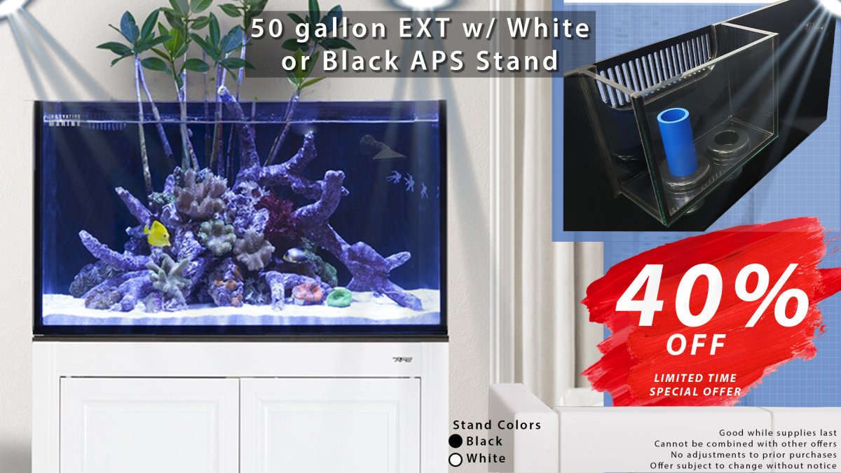 50 ext black and white stand 40 percent sale w spotlights.jpg