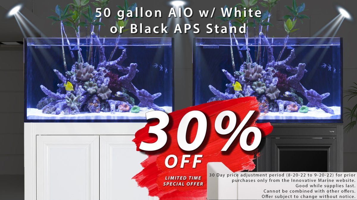 50 pro 2 black and white stand 30 percent sale copy.jpg