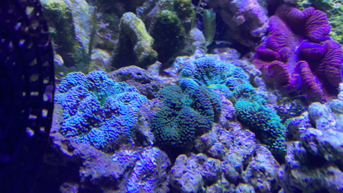 50549790-ECEE-4F37-BB24-3BCE9F8AADB1.jpeg