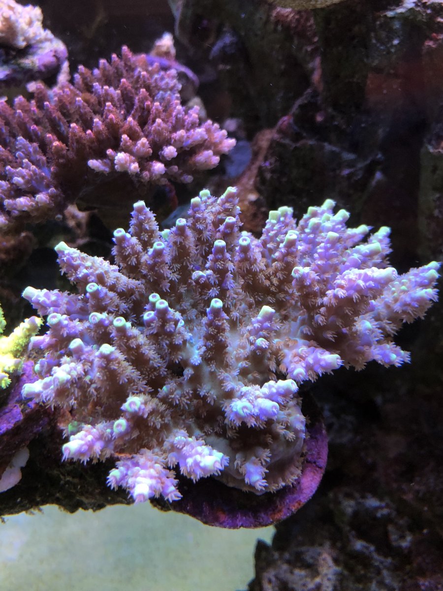 511360E4-BFE8-4977-9A7A-72F17F4EC1CE.jpeg