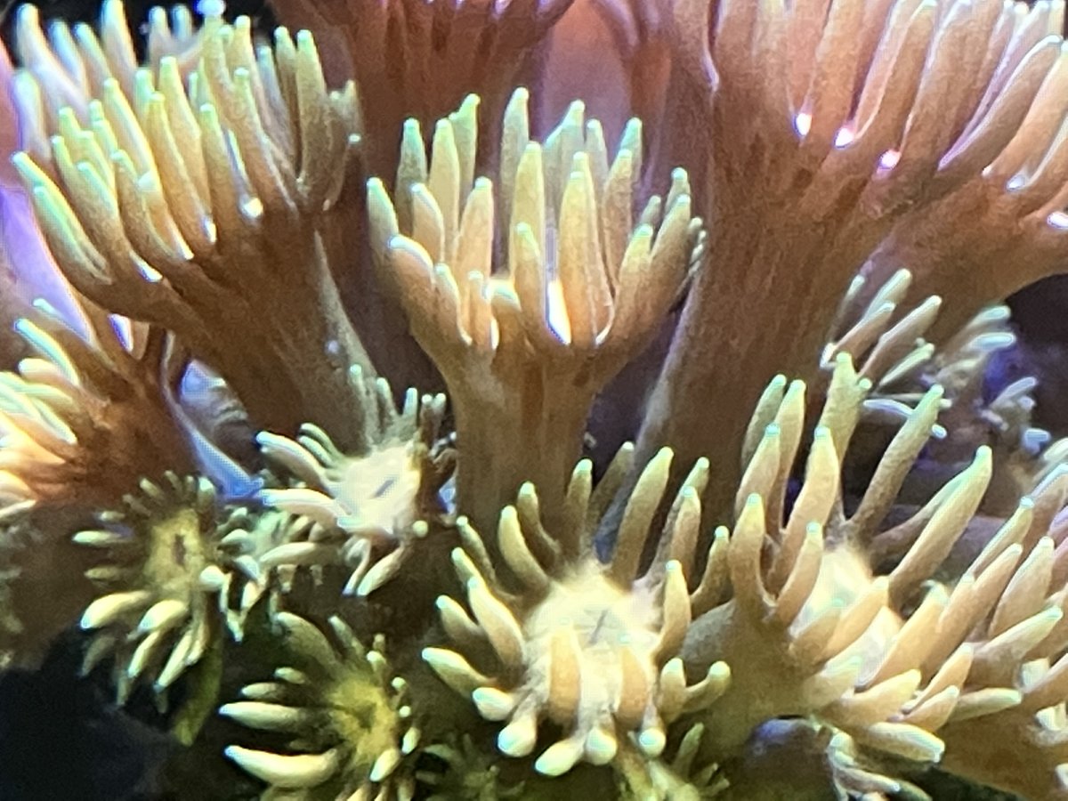5165C2F6-EAC8-4767-A079-6976624F0267.jpeg
