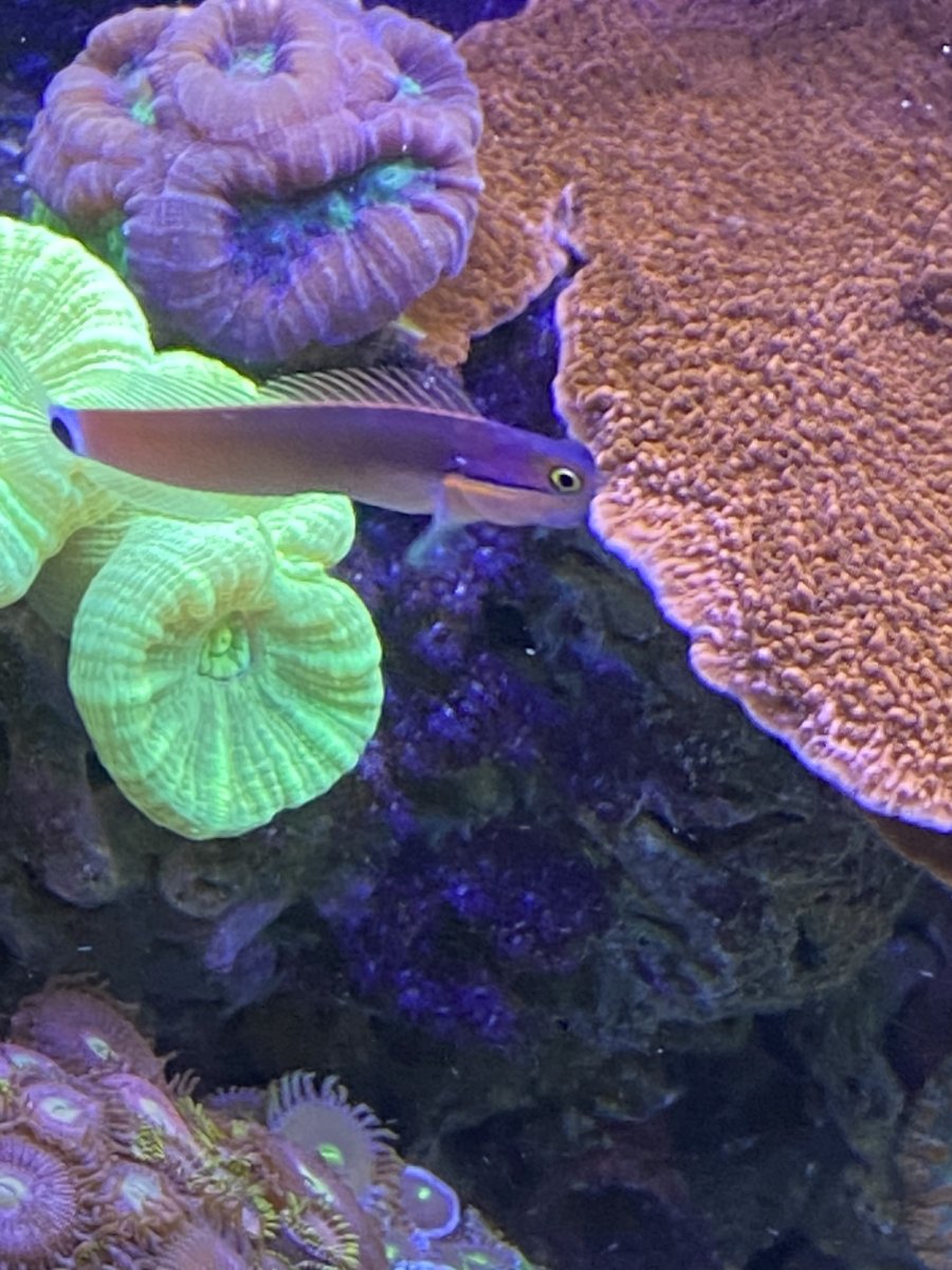 51886ACA-B015-42DE-B25D-2D52CE5AC519.jpeg
