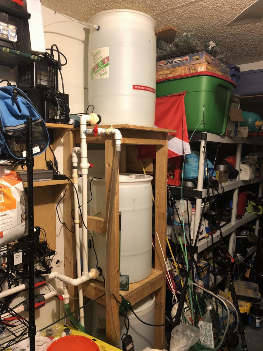53FC3DAE-A45A-42D7-9F46-7B519B13EBF6.jpeg