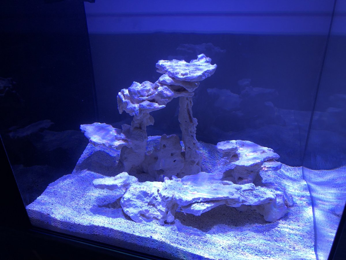 QUESTION OF THE DAY - Aquascaping GLUE and some 