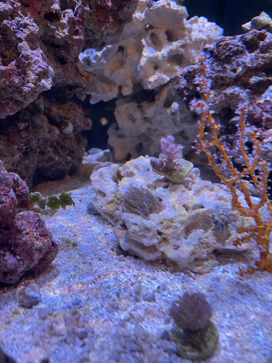 543A080D-1CA5-4483-82B1-E643F4B0B16A.jpeg