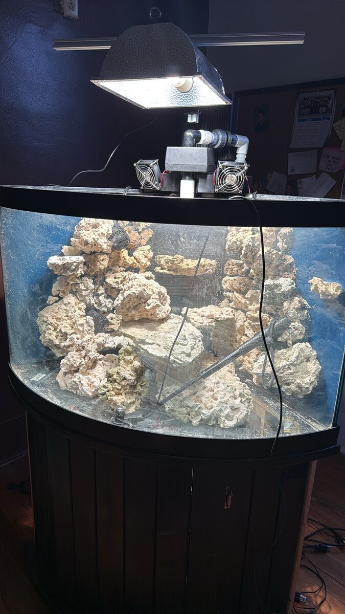 54g tank.jpeg