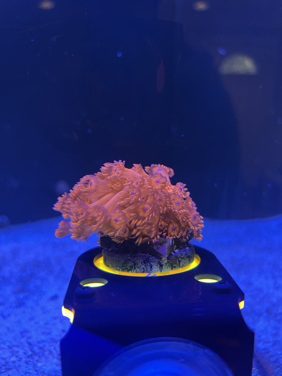 55044418-44F8-4DCA-BF94-73D1CCDFDF6E.jpeg