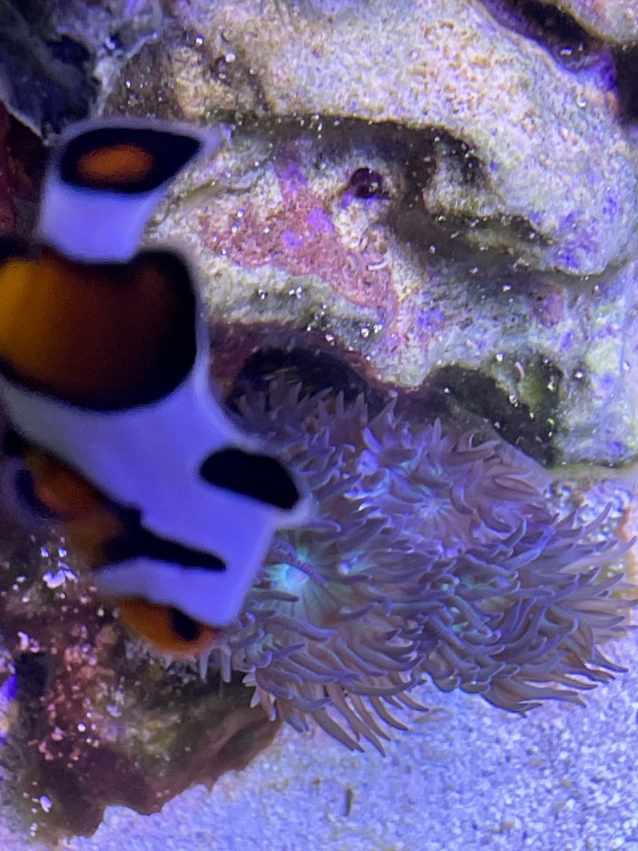 551D0584-92C2-4AB8-9D28-F9FAC9D36D0F.jpeg
