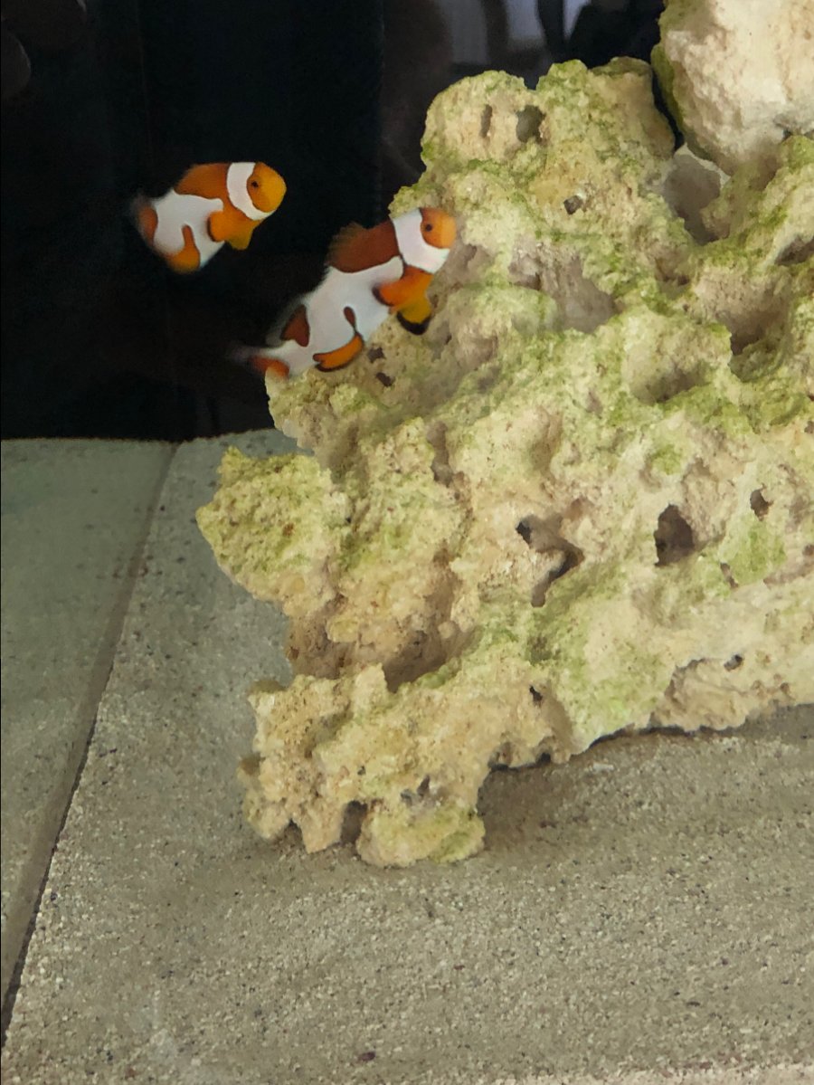 55604816-E8AB-4AA2-BBE2-CBC9CF6C2E06.jpeg
