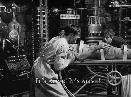 55C4DF4D-E6F1-439E-8DA8-3371831F5E00.gif