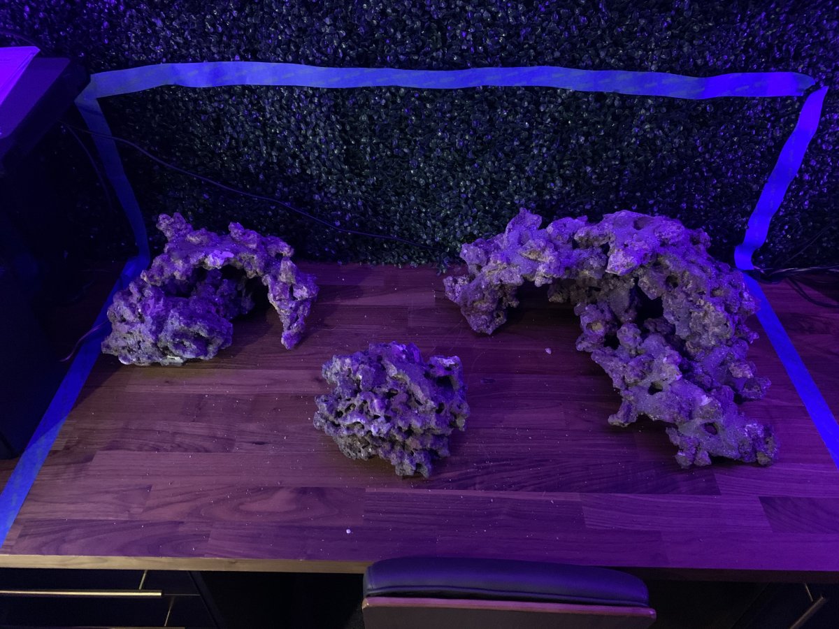 55D0C74D-84FE-4663-95FF-9165604ACEFB.jpeg