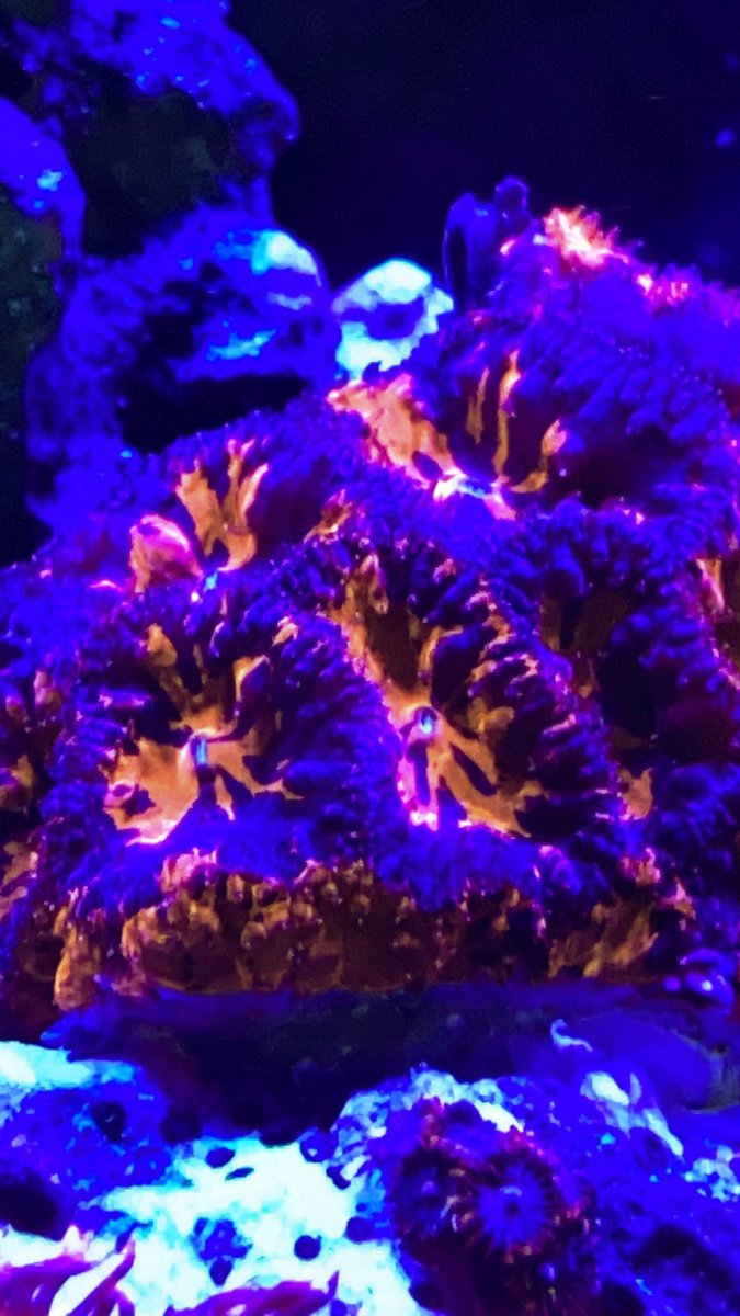 570EBC48-25E8-4616-B4AA-E7B60DB714B9.jpeg