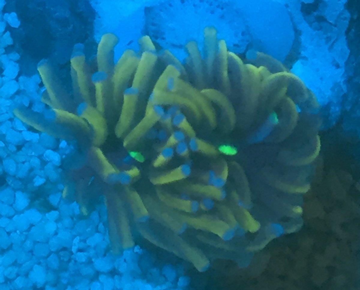 573197F3-FBCA-49D6-A863-B00874E75498.jpeg