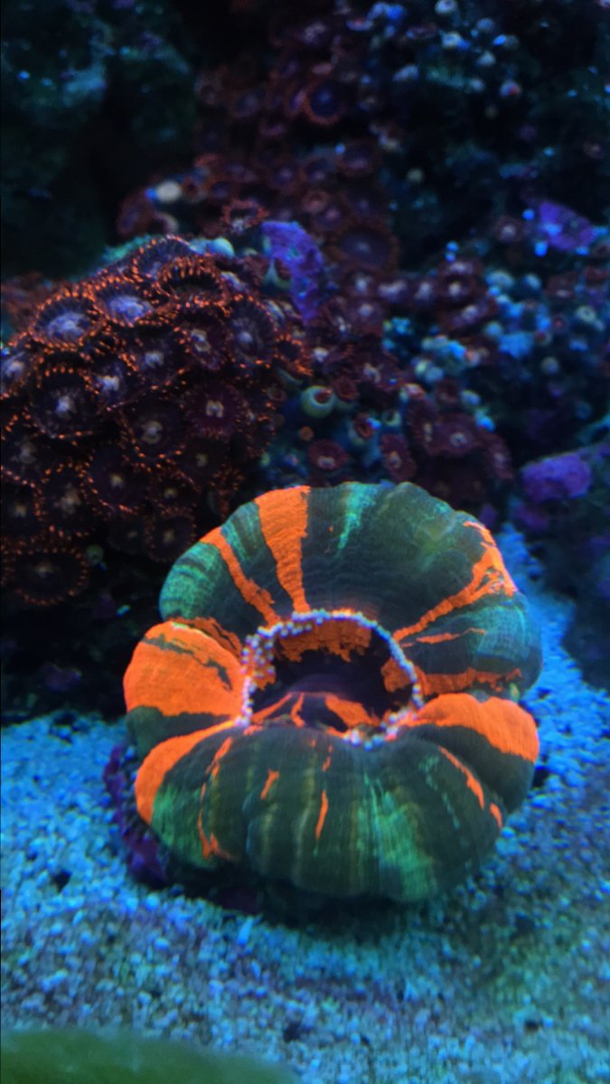 57CC536E-FD05-4F2F-AC06-3AD77213B166.jpeg