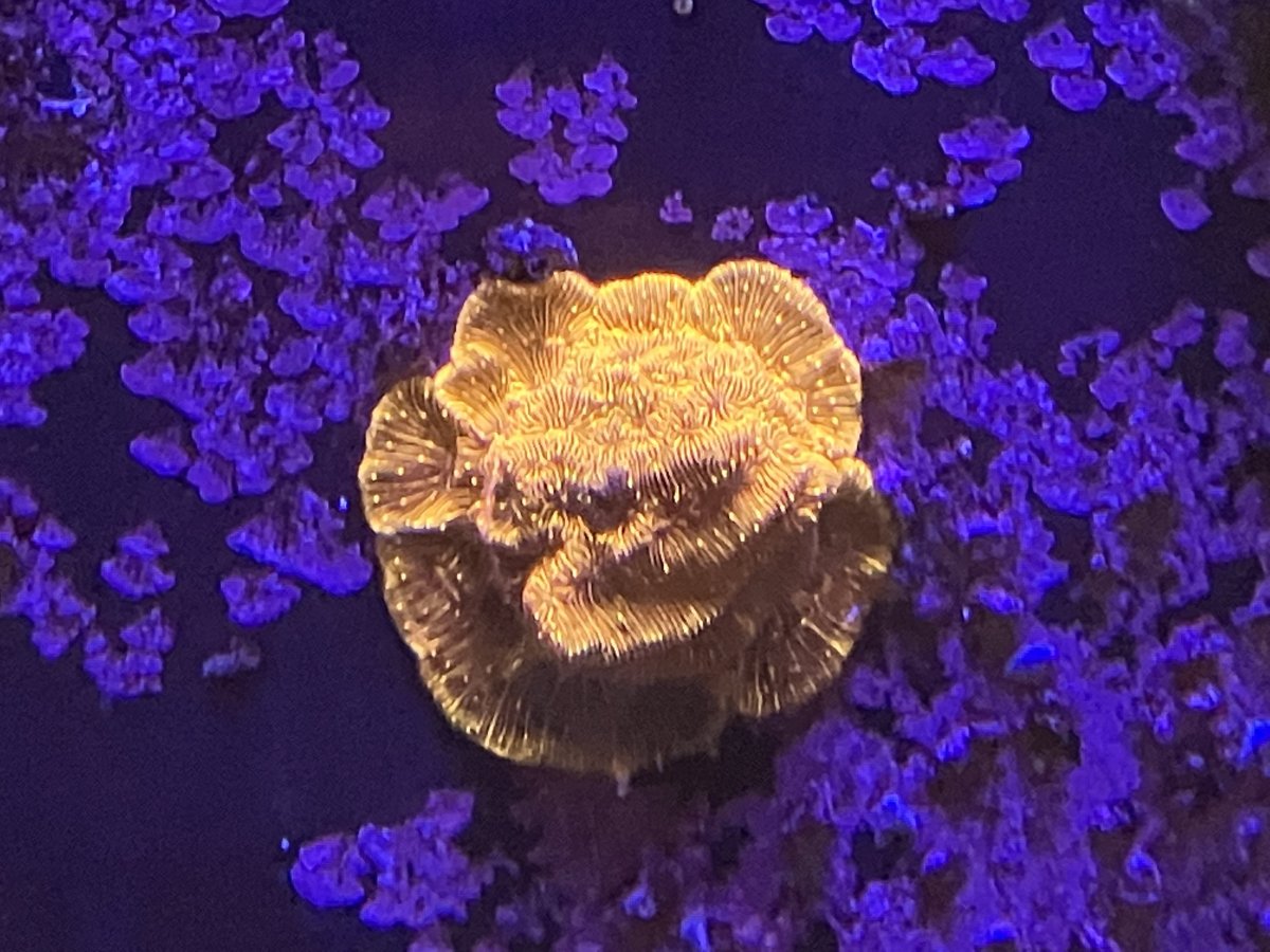 585EED26-175F-4821-B9B7-76AEAAF3E566.jpeg
