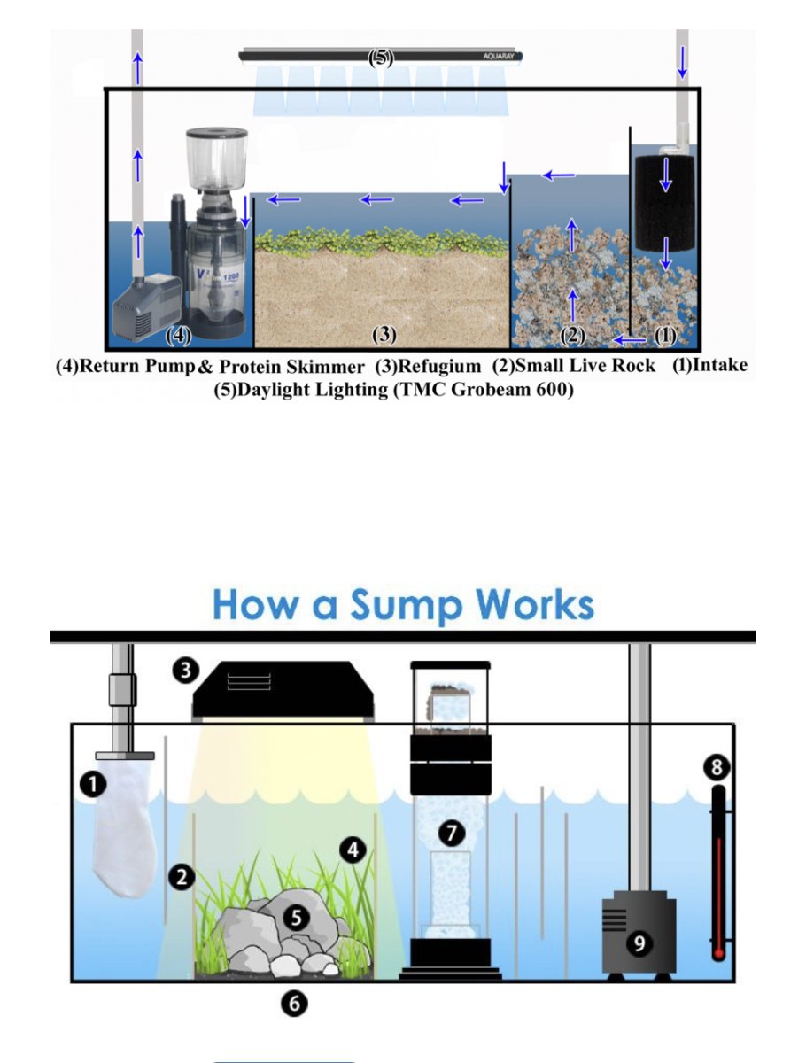 Skimmer / Refugium placement in sump, does it matter